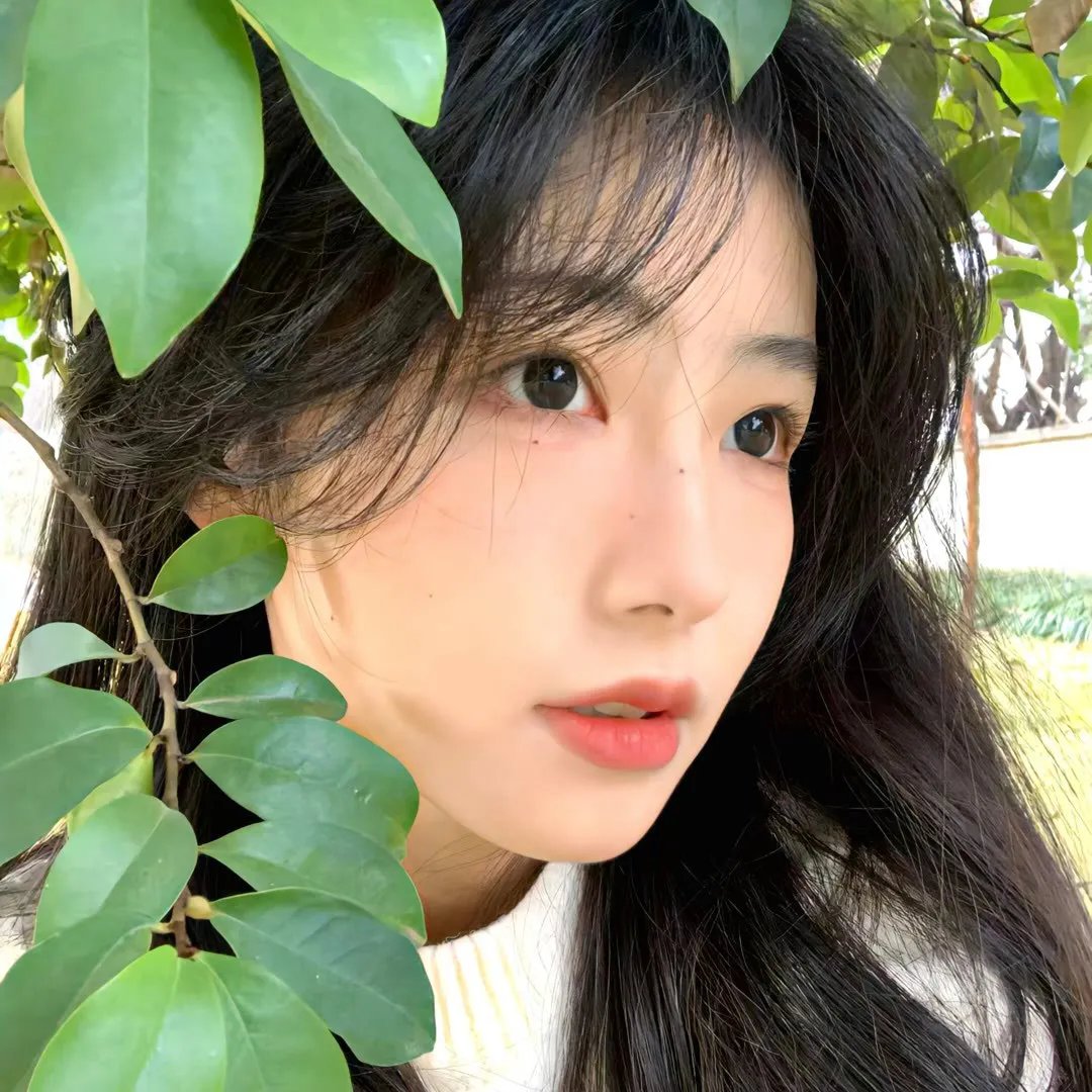 魔发奇缘：剧集版第三季