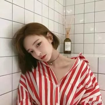 狗狗会说话